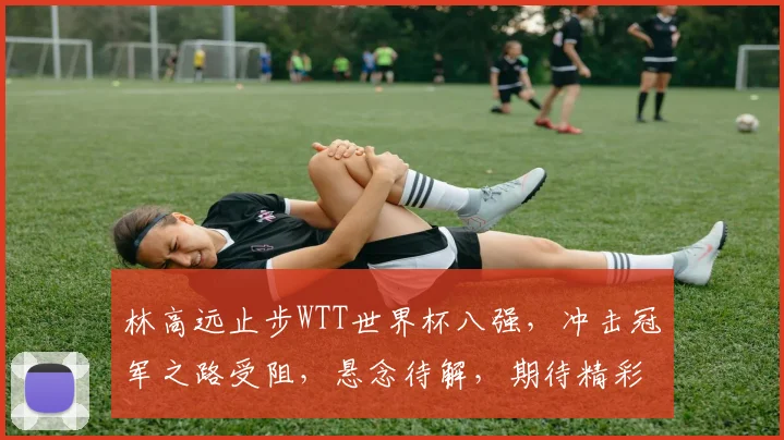 林高远止步WTT世界杯八强，冲击冠军之路受阻，悬念待解，期待精彩对决