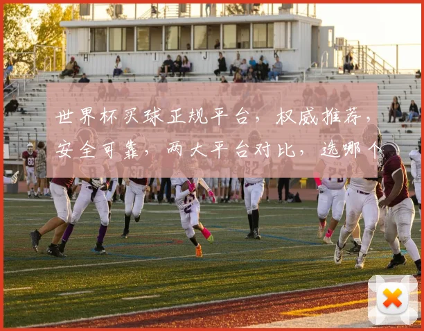 世界杯买球正规平台，权威推荐，安全可靠，两大平台对比，选哪个