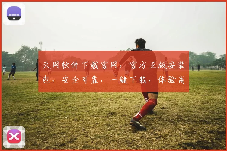 天网软件下载官网，官方正版安装包，安全可靠，一键下载，体验高效办公
