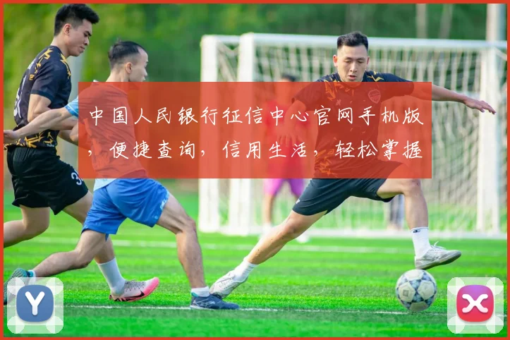 中国人民银行征信中心官网手机版，便捷查询，信用生活，轻松掌握，三步走